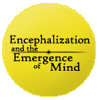 Encephalization and the Emergence of Mind