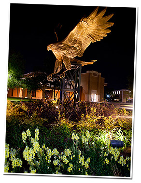hawk statue photo