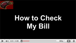 How to check my bill How to check my bill