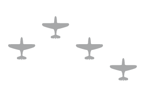 ULM Warhawks P40 Fingertip Formation