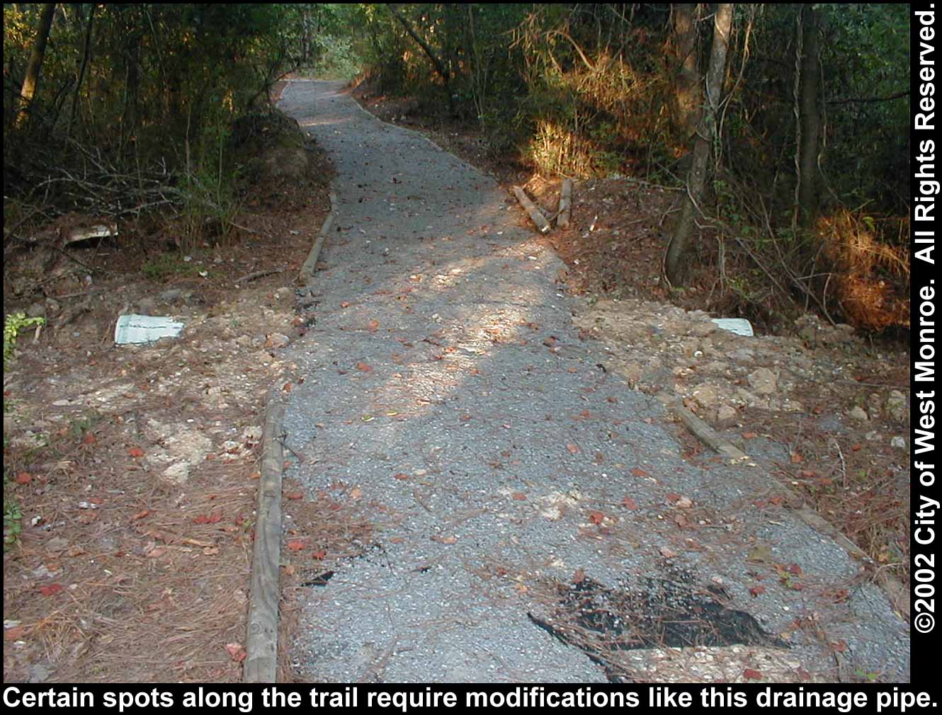 Photo: Trail maintenance