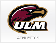 Warhawk icon for athletics link