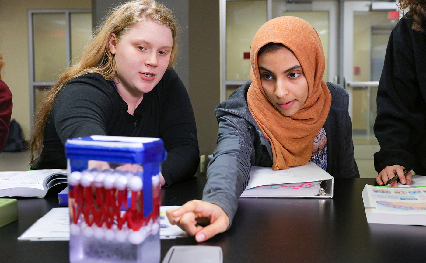 Students in Biology Lab