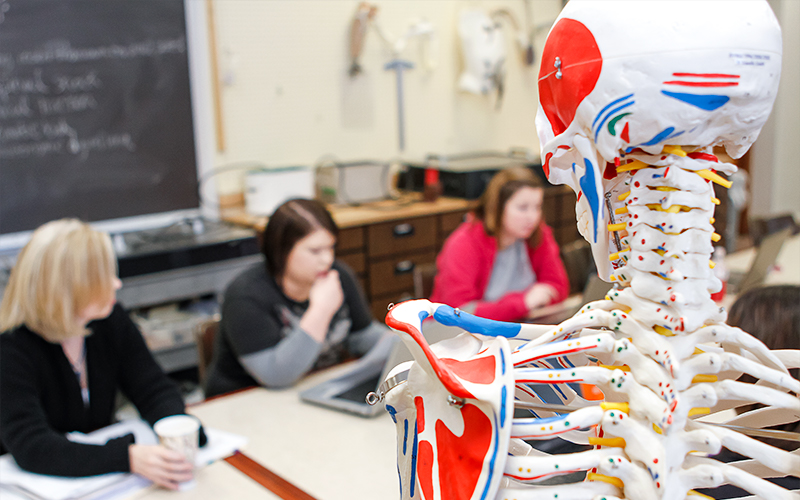 occupational therapy class session