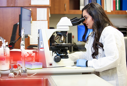 Medical Laboratory Science student working on microscope