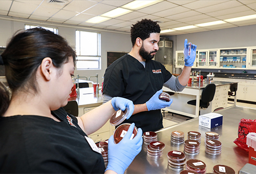 Medical Laboratory Science students analyzing samples