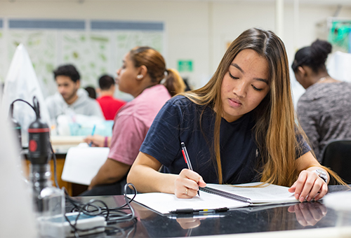 student in classroom 