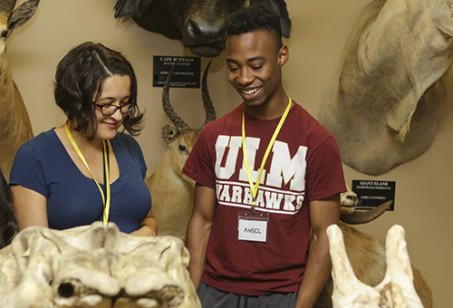 ulm museum students