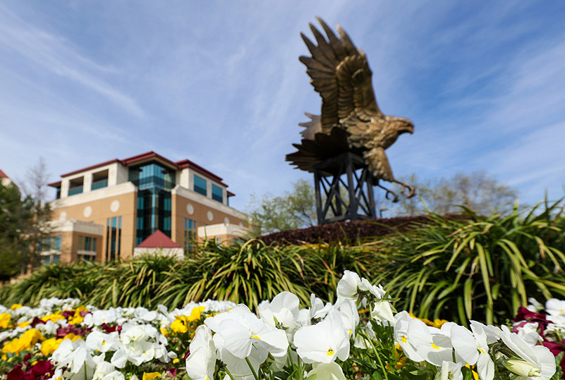 photo of library with war hawk statue