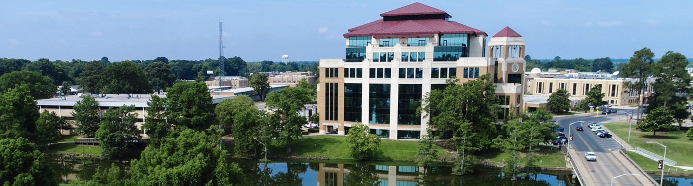 photo of library on Bayou DeSiard