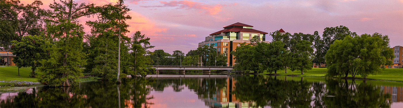 Library and bridge over bayou