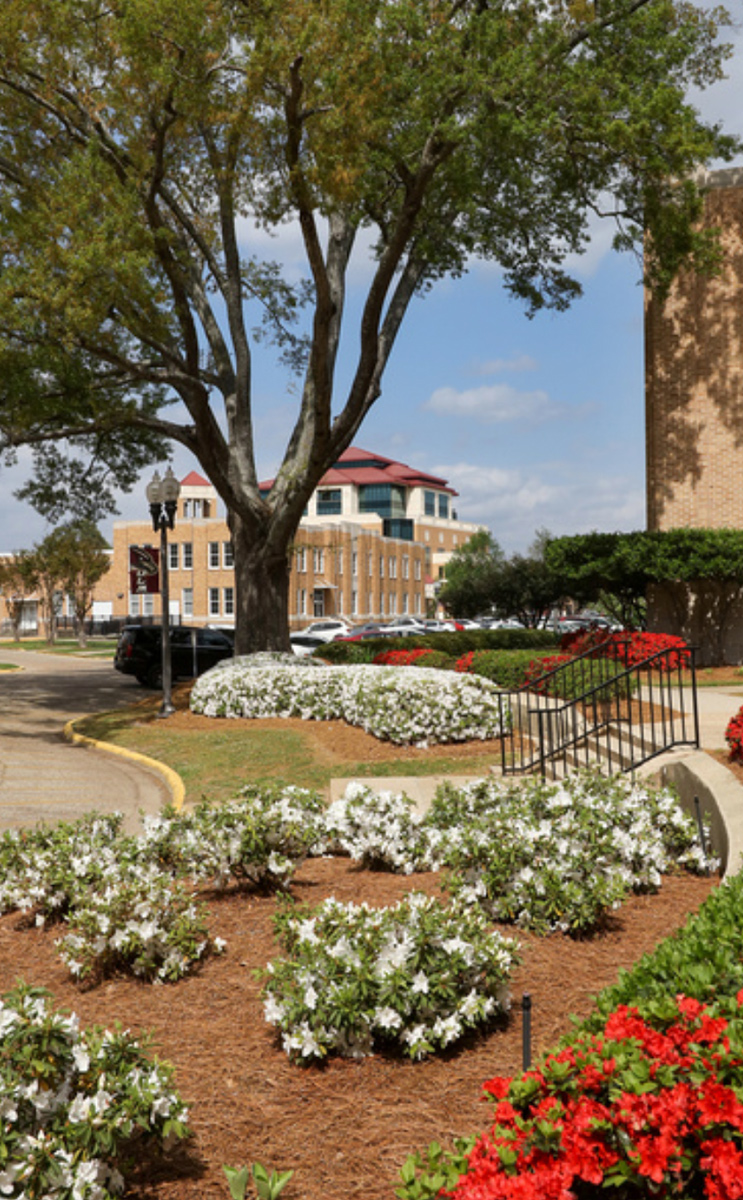 view of flowers with buildings in background