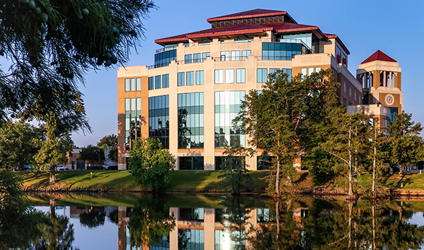 photo of library on sunny day