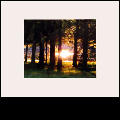 photo of art piece