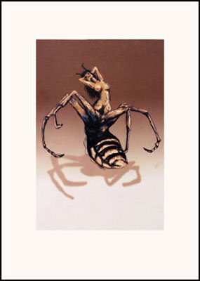 photo of art piece