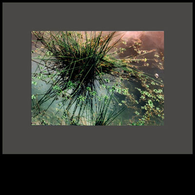 photo of art piece