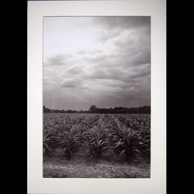 photo of art piece