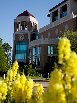 library photo in spring