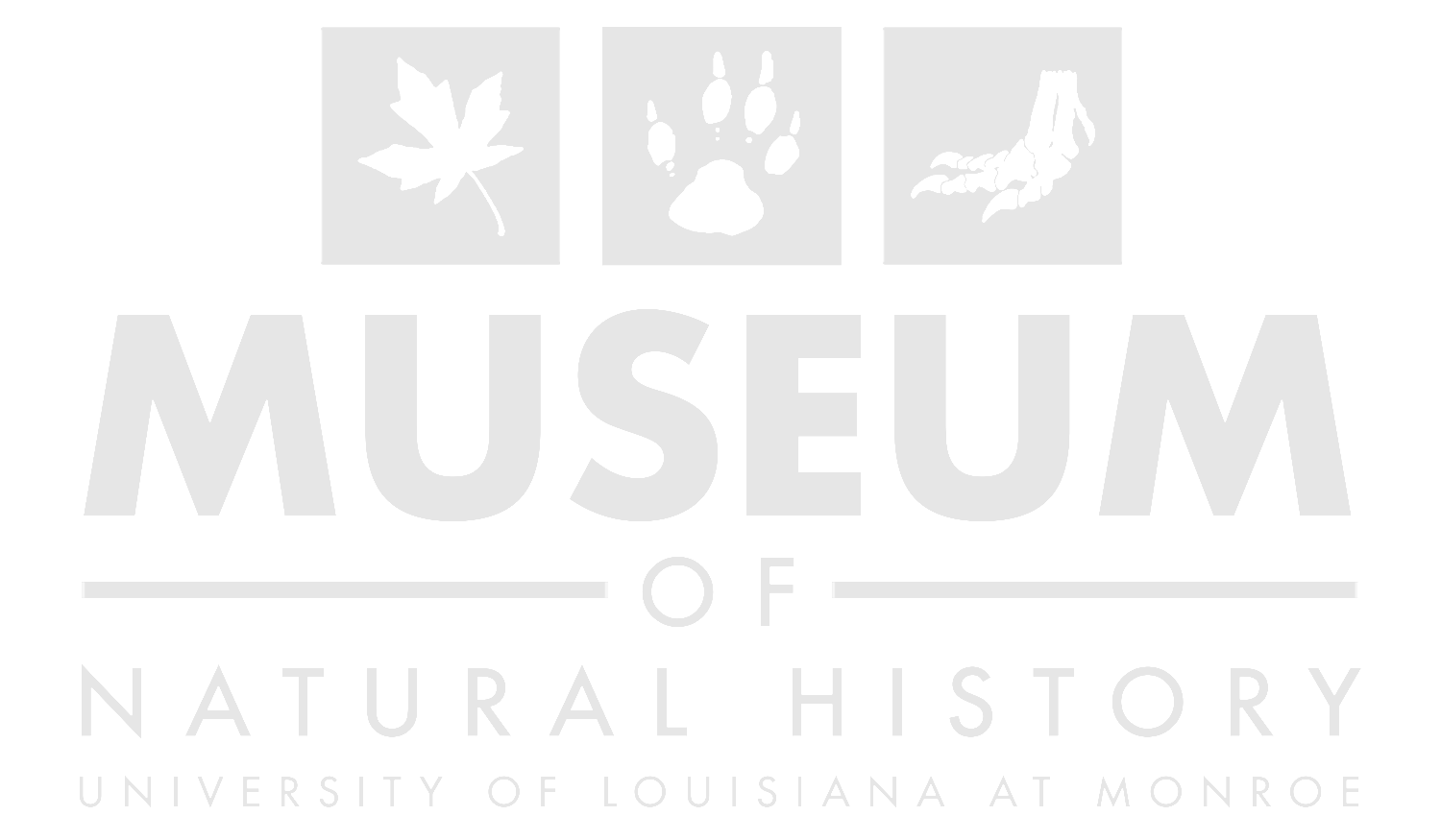 museum logo