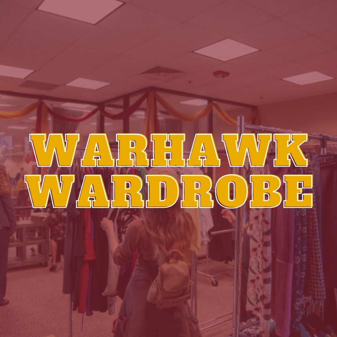 warhawkdrobegraphic