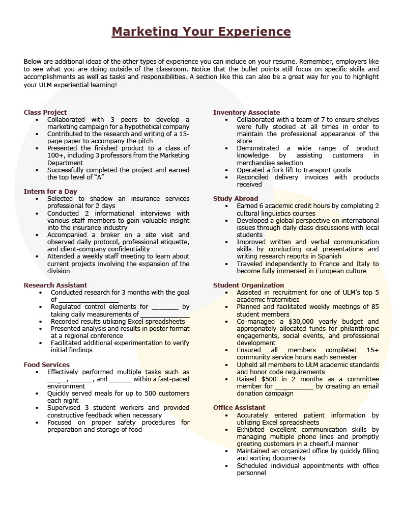 marketing experience