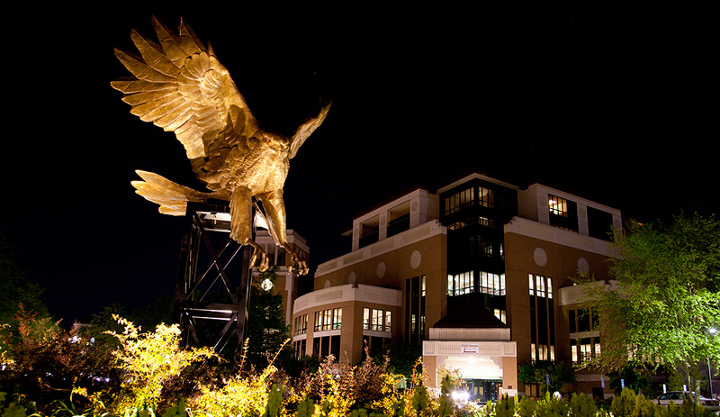 ULM Warhawk statue at night.