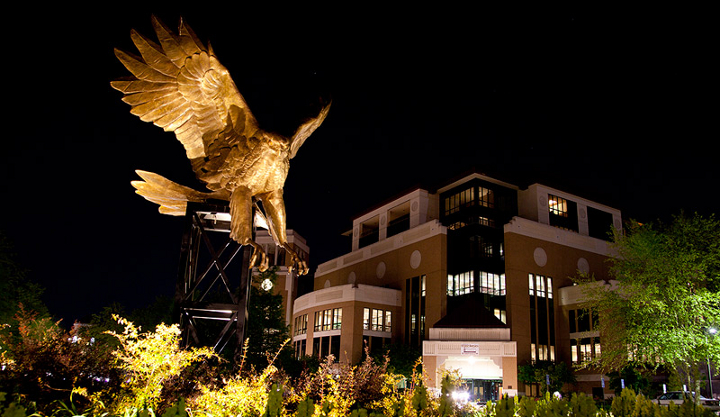 ULM Warhawk statue at night. ULM Warhawk statue at night.