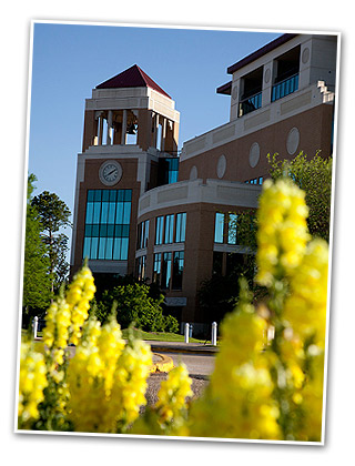 photo of library with yellow flowers in fromt