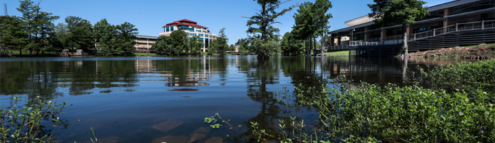 photo of bayou looking toward the Library