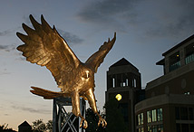 photo of warhawk statue