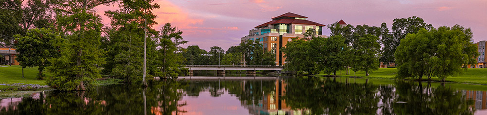 Bayou Desiard scenic view