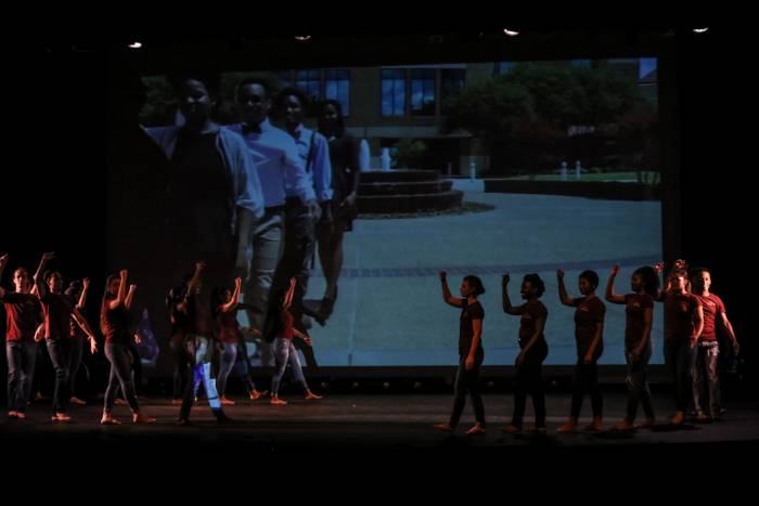 The Nelkin Line by Pina Bausch