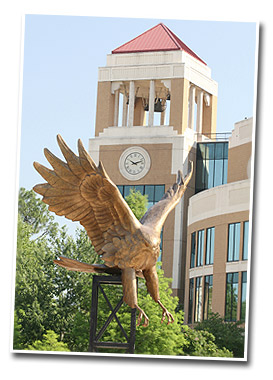 photo of library tower and hawk statue