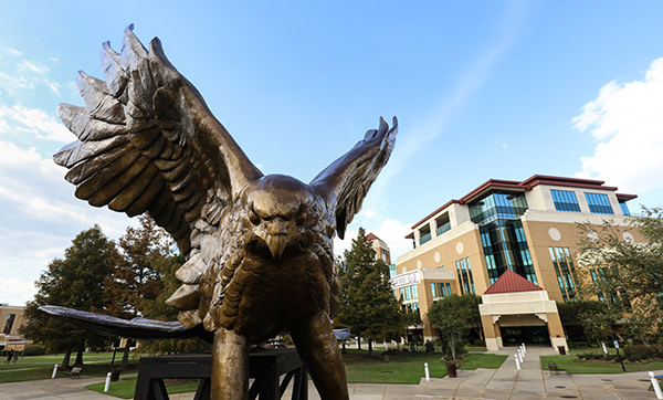 photo of warhawk statue