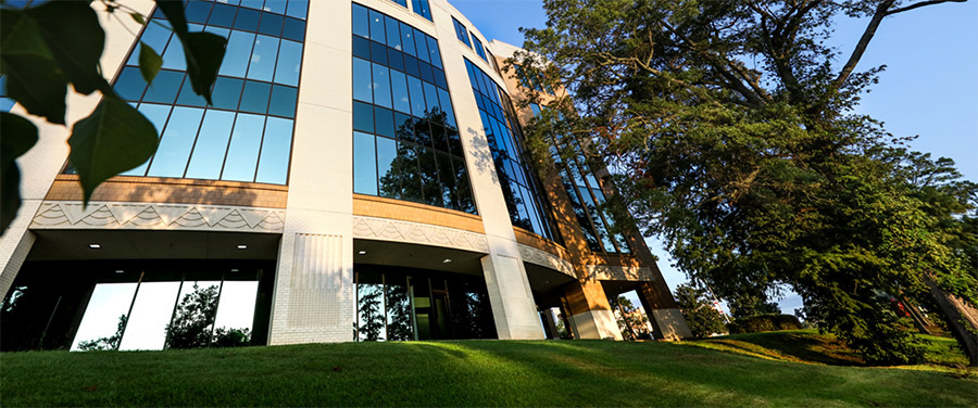 image of library glass windows