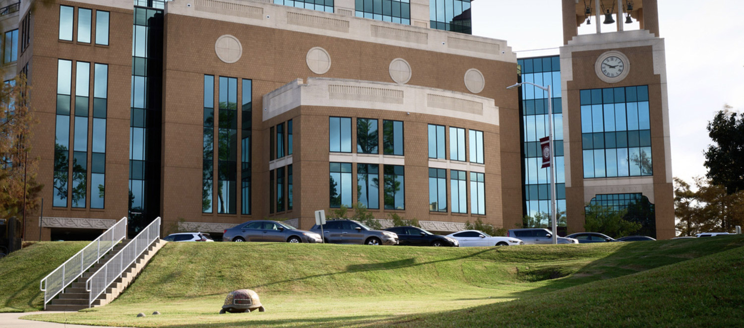 photo of library with green grass on bayou