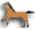 Images of animals