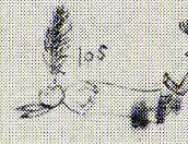 1889--Man with the name symbol of a tree