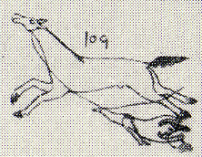 1893--Boy being dragged behind running horse