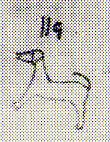 1903--Dog with long ears