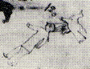 1904--Man with the name symbol of a large bird