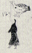 1913--Woman with name symbol of white eagle