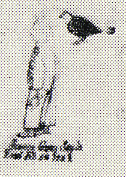 1928--Man wearing modern northern style Grass Dance costume