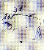 1816--White Buffalo