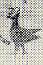 1817--Strange Birds