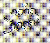 1831--eight men with wounds