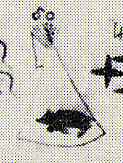 1834--Wild bear in camps
