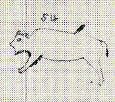 1838--White buffalo