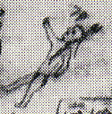 1863--Man with two braids and eagle feathers