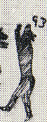 1877--Anthropomorphic bear